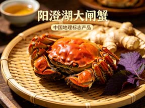 阳澄湖大闸蟹